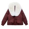 Leisure Down Cotton Jacket for Women, Winter Warmth, Detachable Big Fur Collar Jacket
