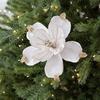 22CM Glitter Accents Flower Floral Decor Eco-Friendly Fabric Reusable Fabric Elegant Simulated Christmas Flowers Holiday Staging