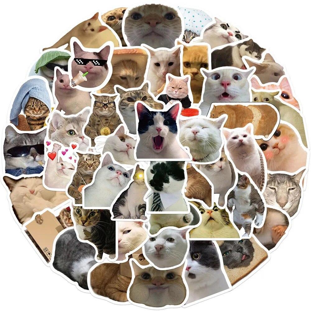 50Pcs/Bag,Fun Cat Stickers,Petwaterproof, Be Suitable For Suitcase Skateboard Diy Luggage Laptop Phone Creative Stationery Toys