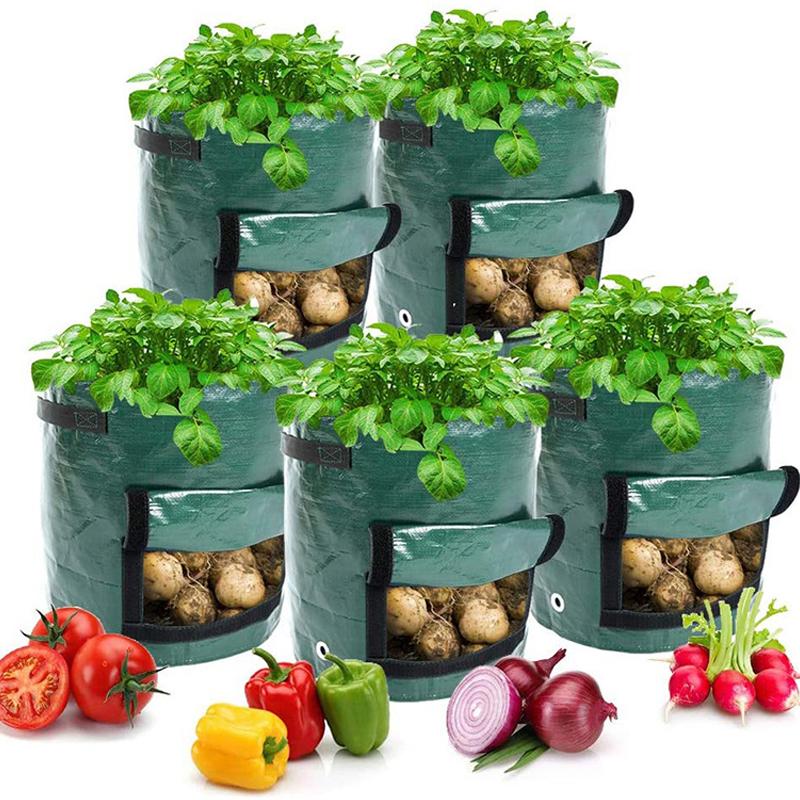 Aeration 5 Gallon Green Fabric Grow Bags Potato Planter with Access Flap Sturdy Handles Heavy-Duty Vegetable Pots