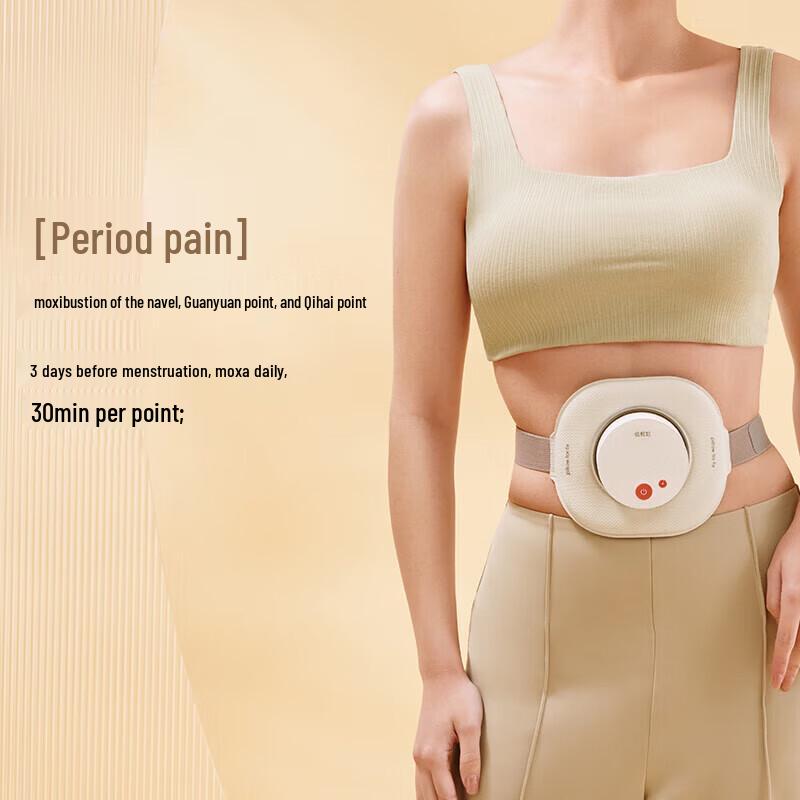 Breo Ginger Xiaozhu A2 Smokeless Portable Electronic Moxibustion Device CN plug (adapter included)