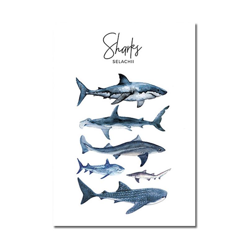 Nordic Animal Canvas Poster Nursery Wall Art Blue Whale Shark Print Painting Nautical Modern Picture for Living Room Home Decor