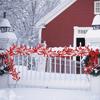 Artificial Cranberry Vine, Christmas - Suitable for Dining Table, New Year Celebration, Engagement Party Decor
