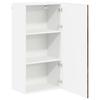 Wall Cabinet LUCCA Smoked Oak 50 x 31 x 100 cm
