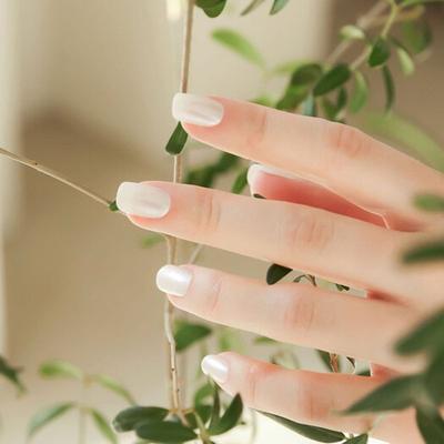 Reusable Nail Tip Seed Pearl (Regular Square)