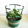 2/4/6Pcs Plastic Plant Support Pile Stand For Flowers Greenhouse Arrangement Rod Holder Orchard Garden Bonsai Tool Invernadero