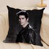DDylan O Brien Cushion Cover Soft Plush Fabric DoubleSided Printed Sofa Cushion Cover for All Seasons Home Decor Gift