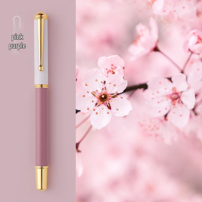Children's Fine Nib Fountain Pen Set with Engravable Option, Includes Replaceable Ink Cartridges for Student Calligraphy Practice.