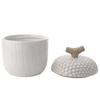 Country Living Acorn Storage Jar - Large