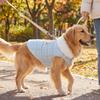 Princess Style Quilted Cotton Dog Thermal Jacket Fluffy Collar Button Style Pet Sweater Soft Warm Winter Dog Coat Indoor