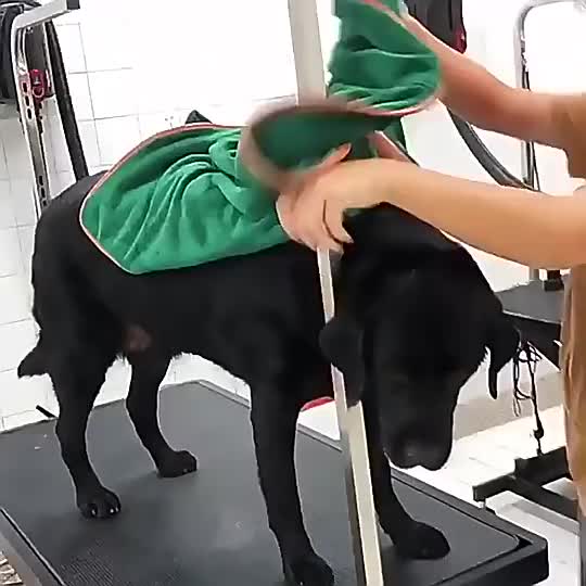 Ultra-absorberende huisdierbadjas met verdikte superfijne vezels, sneldrogende handdoek