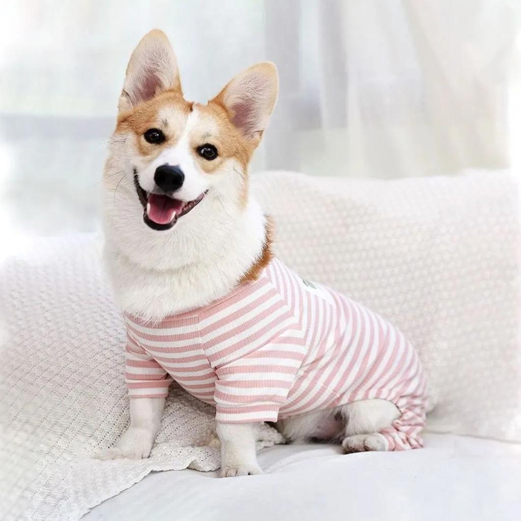 Pet Clothing In  Winter, Pajamas, Clothing, Teddy Fighting Small Dogs, Winter Puppies, Pet Clothing
