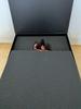 [USED] Spice Seed Kinnikuman Great Figure