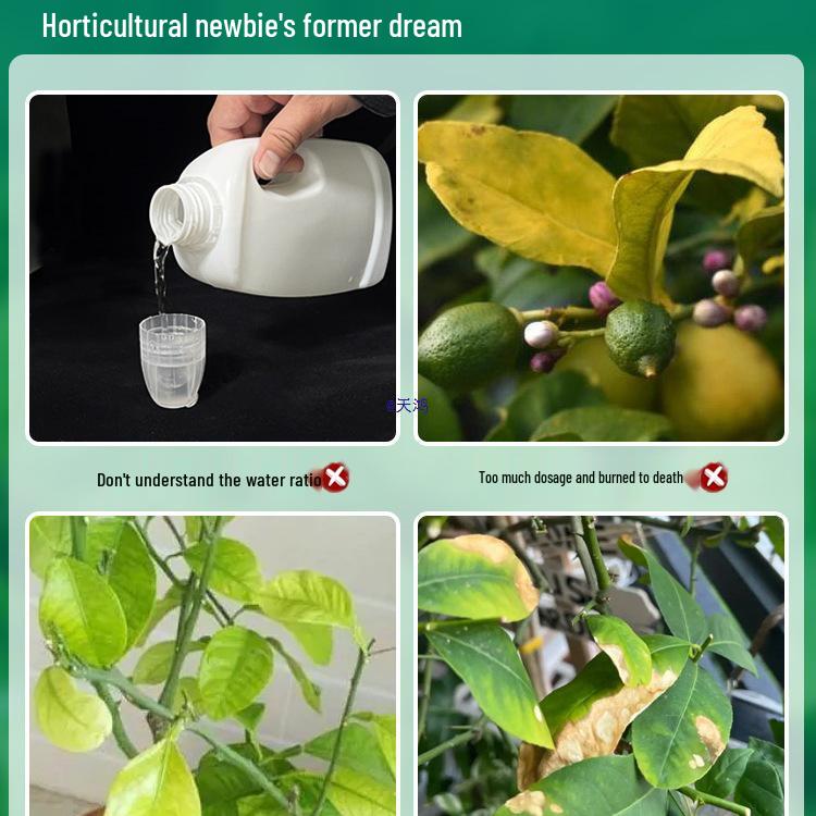 Výživový roztok bez ředění pro kyselomilné bonsaje a zelené rostliny