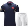 Quick-Dry Lapel Short-Sleeve Sportswear Set for Wushu or Table Tennis Coaches