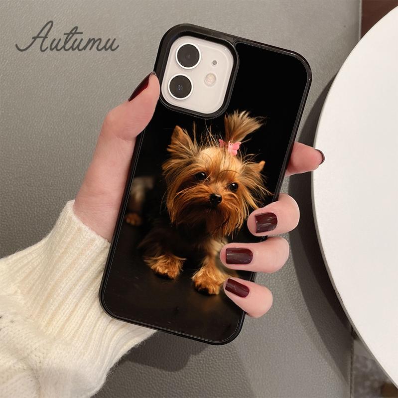 yorkshire terrier dog puppy Phone Case for iPhone 11 12 13 14 Pro Max mini X XR XS SE 2020 6S 7 8 Plus Samsung S21 S22 shell