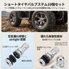 Tire Valve Metal Short Stem with Dust Cap for Truck