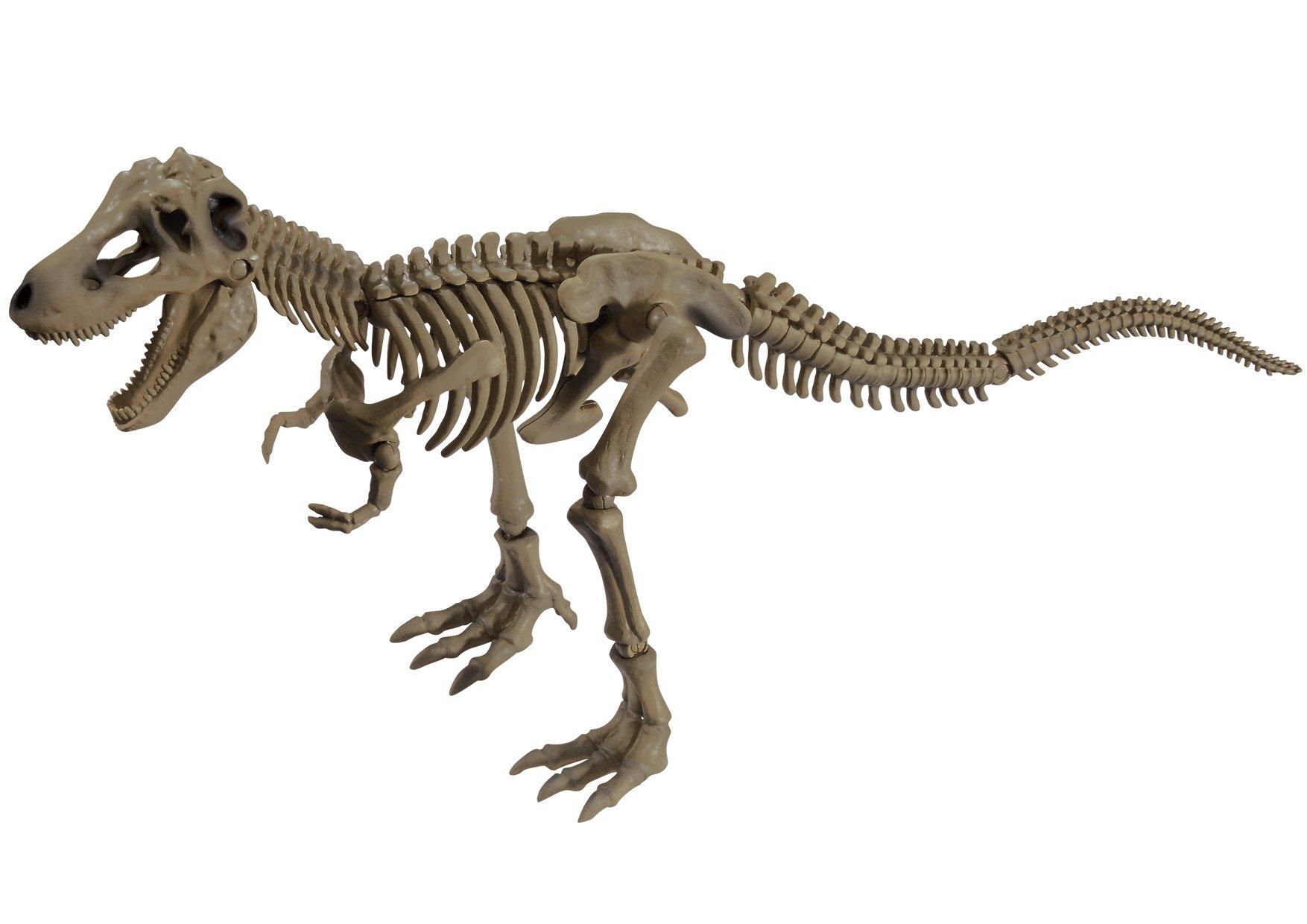 

Pose Skeleton Dinosaur Series 101 Tyrannosaurus