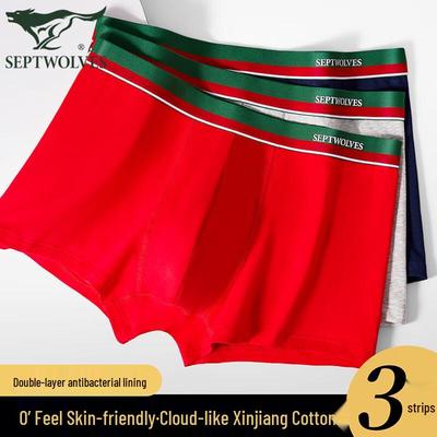 Kalsonger – Boxers