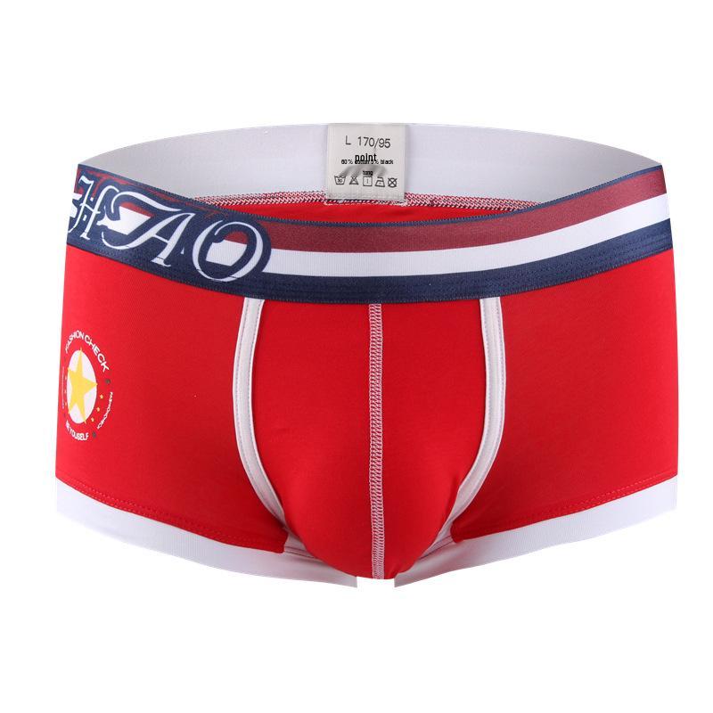 Topsun Men's Low Waist Breathable Cotton Boxer Briefs - Youth Fashion Printed Trunks