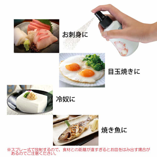 Arita Ware CtoC JAPAN Soy Sauce Spray Bottle (02-857297)