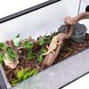 Reptile Habitats Decoration Terrarium Natural Rattan Climbing Branch Resting Shelter Vine for Snake Bearded Dragon