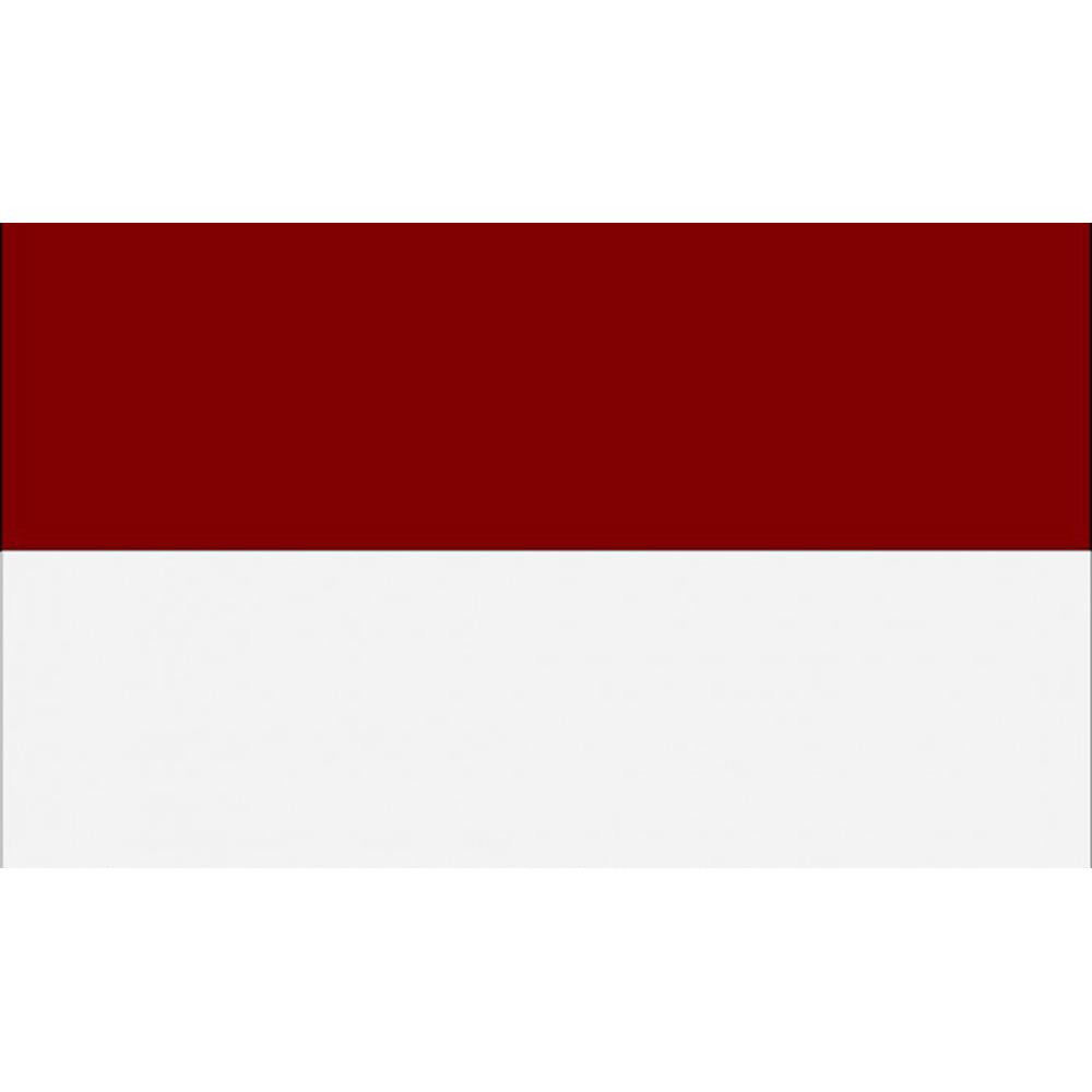 Carta Sport Corner Flag