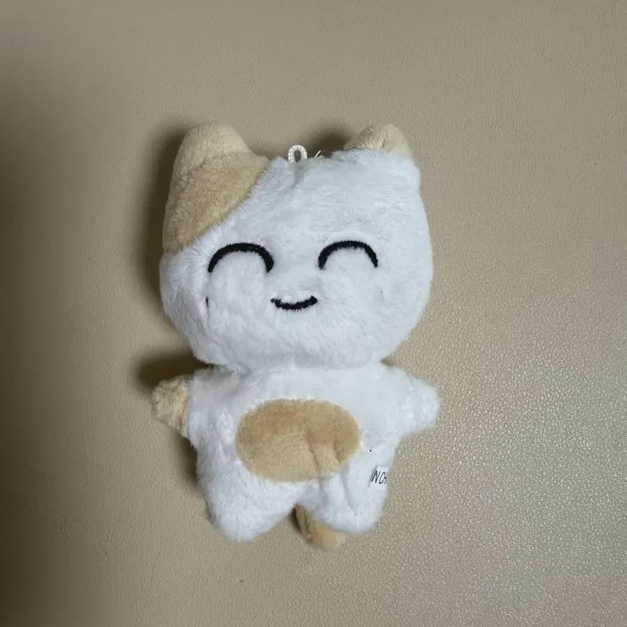 

Nct Reproduction Doll Somtam