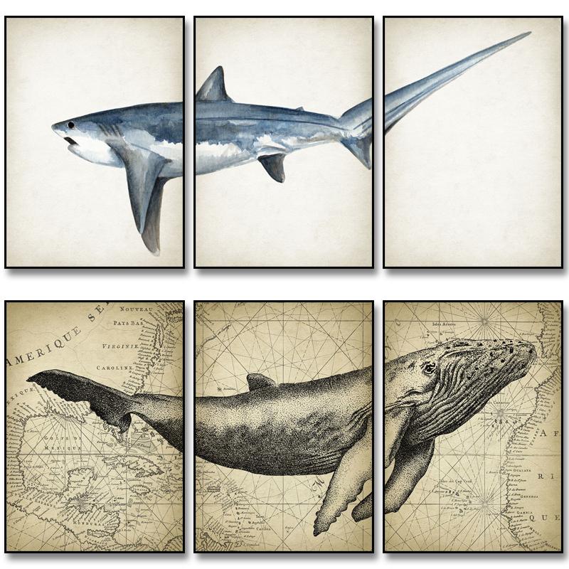 Marine Animals Canvas Paintings Great White Shark Posters and Prints Killer Whale Wall Art Picture for Home Decoration No Frame