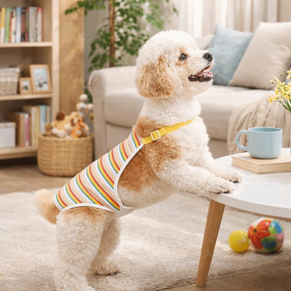 Adjustable Straps Pet Physiological Pants Breathable Dog Underwear Pet Safety Trousers Daily Wear