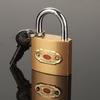 Thick Shackle Drawer Door Padlock - Single Open, Multiple Sizes, Small Iron Head for Household Electric Meter Box