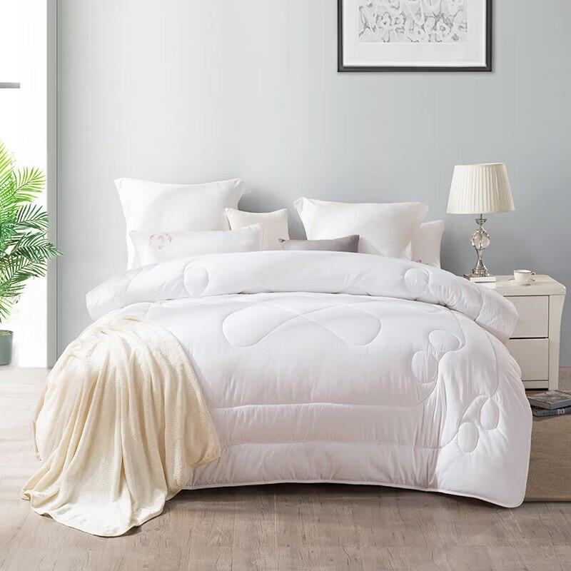 Hongxiushifang Antibacterial Washable All-Season Quilt