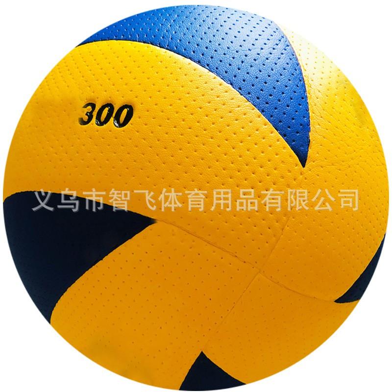 Soft PVC/PU Glued Volleyball School PE Exams Training Competition 5 Inch Size
