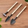 3 Piece Horticultural Succulent Plant Planting Tool Set  Horticultural Tool Set