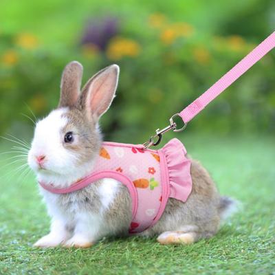 Yousheng 1 Set Pet Harness Leash Stylish Cute Cartoon Pattern Guinea Pig Rabbit Vest Harness Set for Outdoor Walking