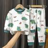 Kinder Pyjama Sets Unisex Weich Bequem Cartoon Dinosaurier Bekleidungsset Outfit Geeignet Jungen Mädchen Perfekt für Herbst Winter