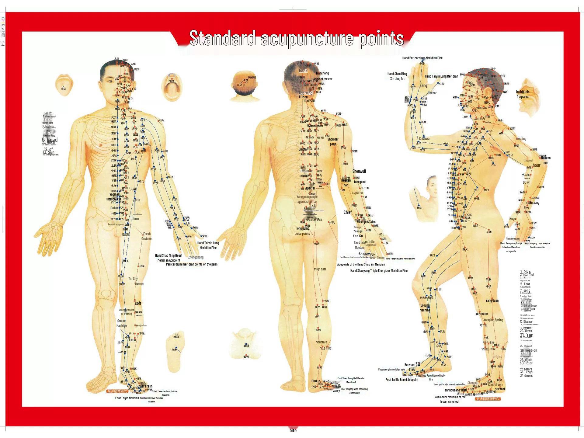 

Sandalwood Airbag Massage Comb - Meridian Therapy & Cushion Brush