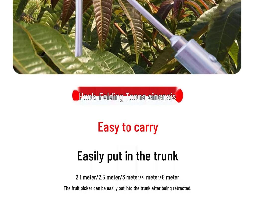 Telescopic Pole Fruit Picker for Persimmon, Loquat, Bayberry, Peach, Plum, Jujube, Apricot, and High-Altitude Harvesting