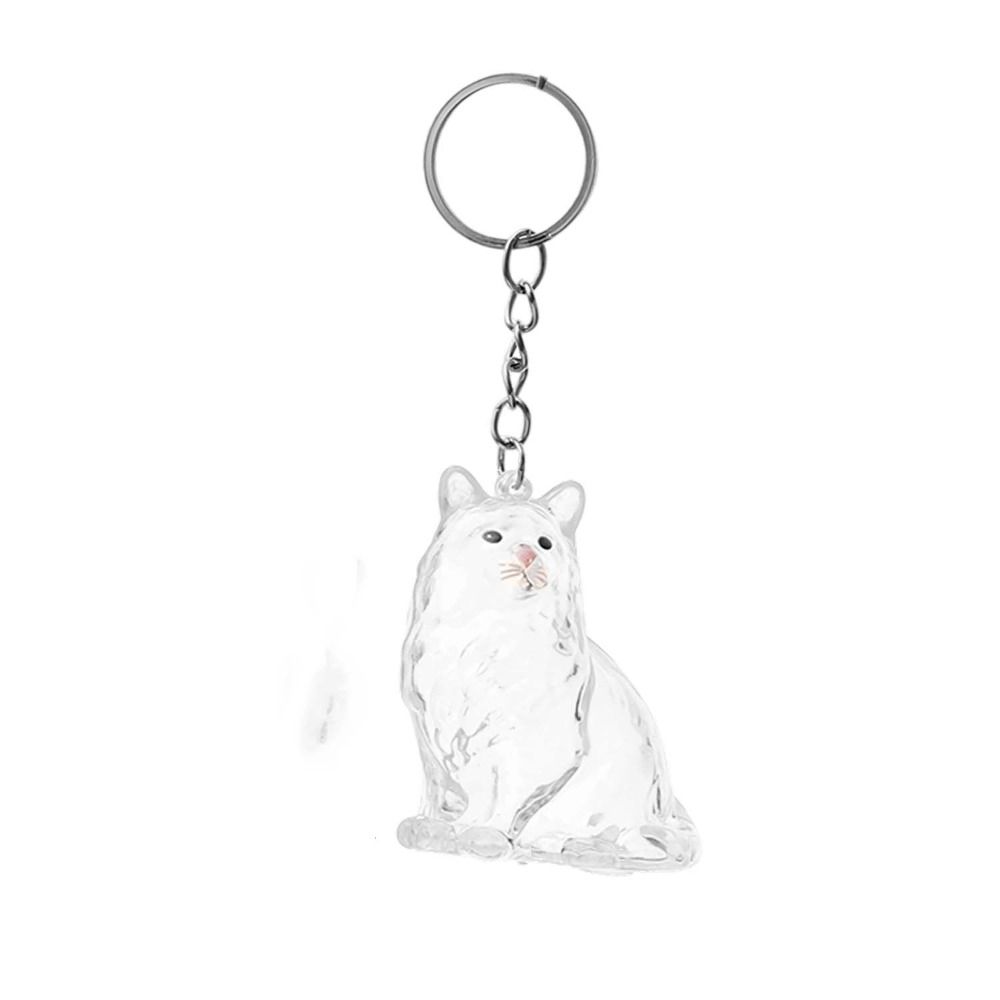 Transparent Acrylic Keychain Cat Hair Storage Capsule Handmade Hamster Hair Storage  DIY Pendant