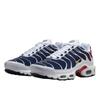 Nike Air Max Plus PSG