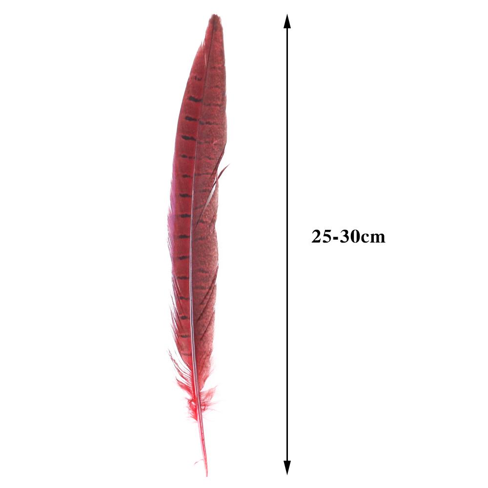 10pcs Multicolor Chicken Feathers Natural Pheasant Tail Feathers 25-30 Cm for Party Clothing Jewelry Making Plume Decoration
