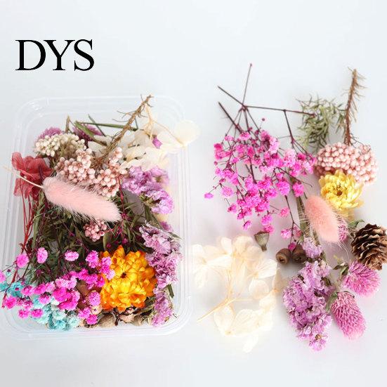 Sušené květiny Domácí fotografické rekvizity DIY ozdoba Řemeslný vzorek Příslušenství