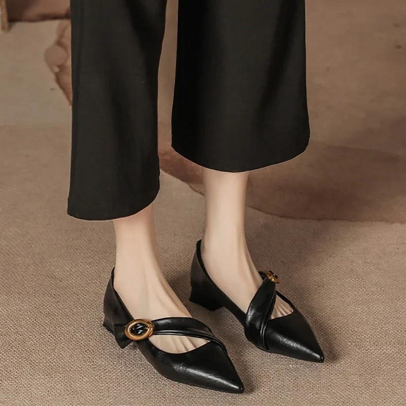 Fashion 2025 Spring Vintage Women Pointed Toe Mary Jane Shoes Fashion Shallow Thick Heel Wedding Party Shoes