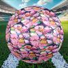Custom Name Personalized Peppa Pig Print Size 5 Soccer Ball Training & Match Football, for Team, Kicking, Gift for Football Enthusiasts