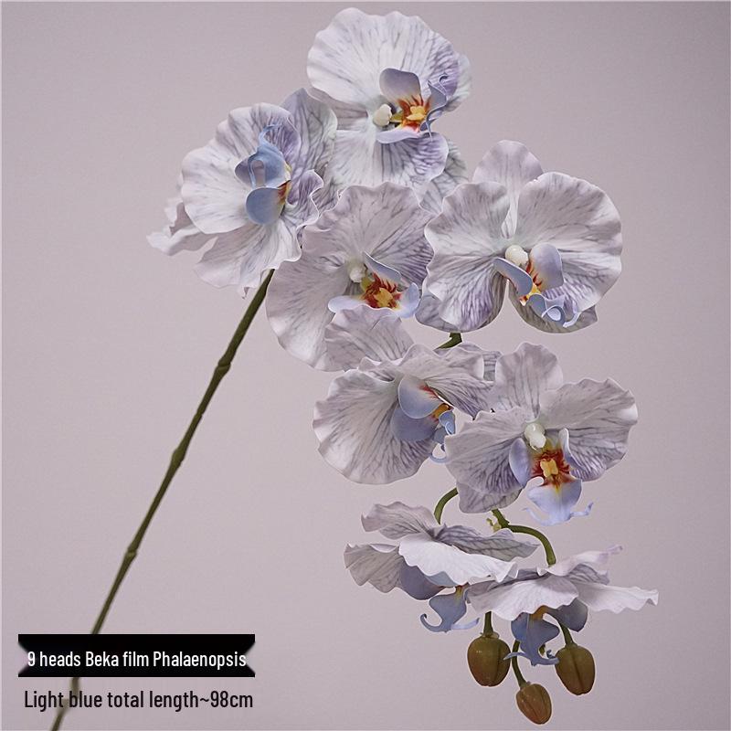 High-Quality Phalaenopsis Simulation with 9 Heads - Little Red Book Style Flower Decoration for Photography