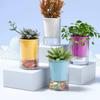 Thickened Self Watering Pot for Hydroponic Plants With Drainage Hole Flower Planter for Modern Home Office Decor