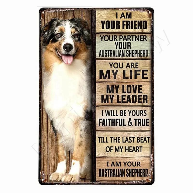 My Dogs Bedtime Prayer Metal Sign Retro Dog Wall Plaque Breeds Gift Lover Funny Dog Cat Tin Pet Wall Art for Bar Cafe 20x30cm(7.8x11.8inch)