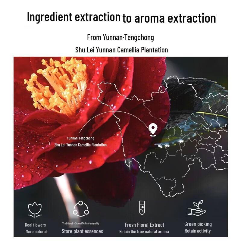 Slek Camellia Nourishing Repair Shampoo & Body Wash Gift Set