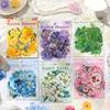 60 Pcs Plant Flower Cluster Stickers Junk Journal Creative Stationery DIY Decorative Stickers Scrapbook School Supplies
