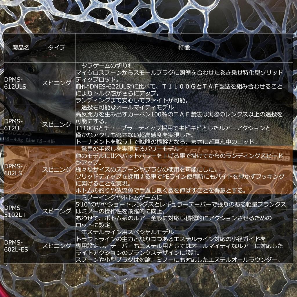 Abu Garcia Diplomat DPMS-602LS 2-teiliges Flächenforellen-Set